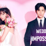 wedding impossible, south korean romantic comedy, k drama fake marriage, contract relationship drama, studio dragon productions